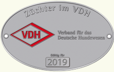 vdh 2019