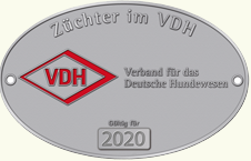 vdh 2020